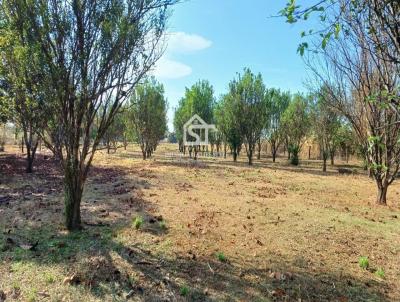 Chácara para Venda, em Nova Maringá, bairro REGIAO NOVA MARINGÁ