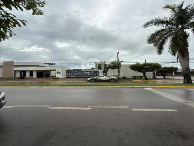 Comercial para Loca&ccedil;&atilde;o na cidade de Lucas do Rio Verde no bairro Centro
